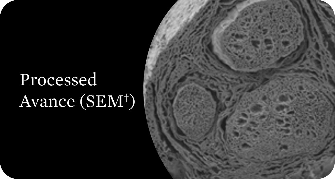 Scanning electron microscope image of processed Avance