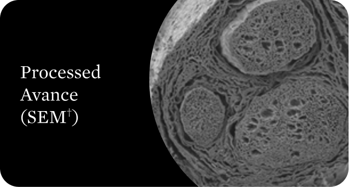 Scanning electron microscope image of processed Avance